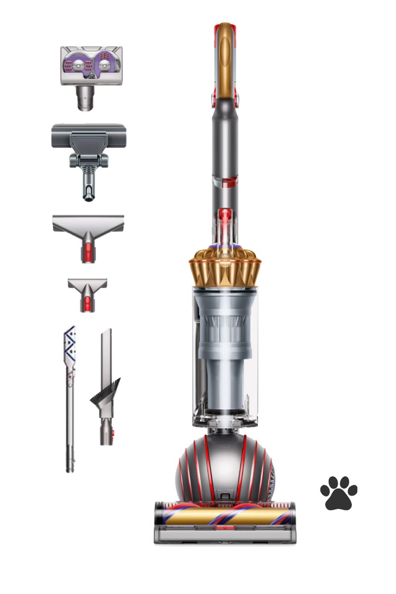 aspiradora dyson ball animal complete oro