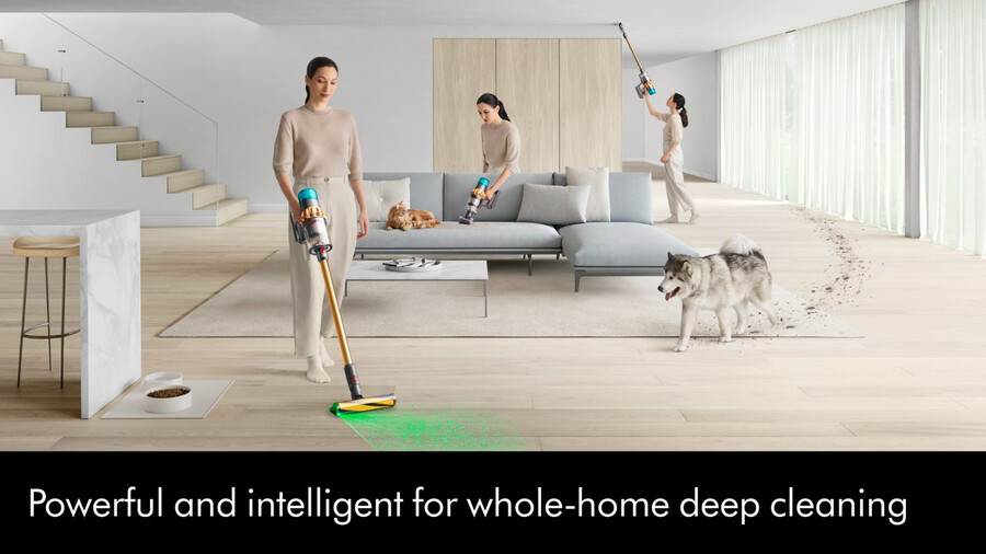 aspiradora inalámbrica dyson v15 detect absolute