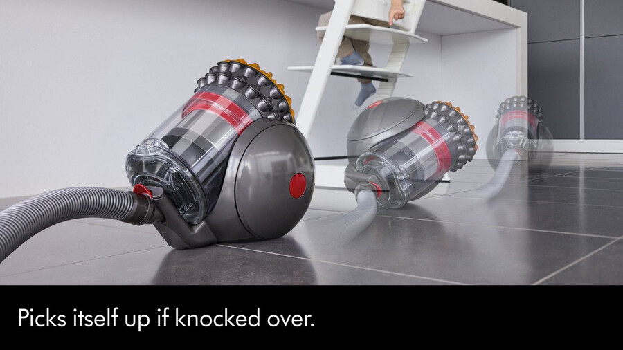 dyson big ball animal 2